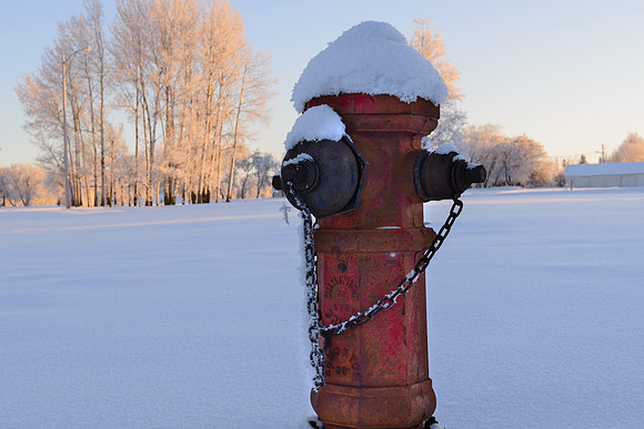 Winter in Alberta