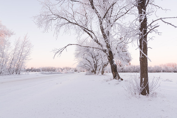 Winter in Alberta