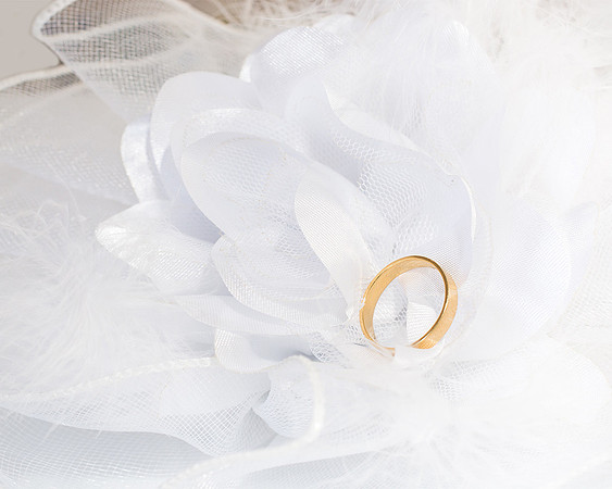 Professional wedding photos